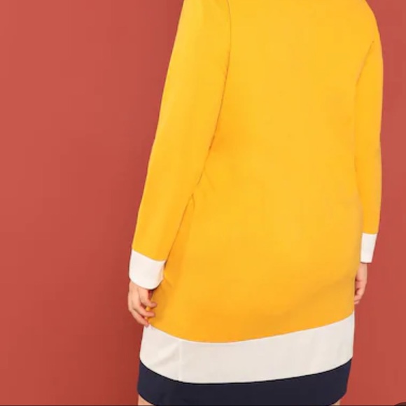 Color Block Dress - Picture 3 of 5